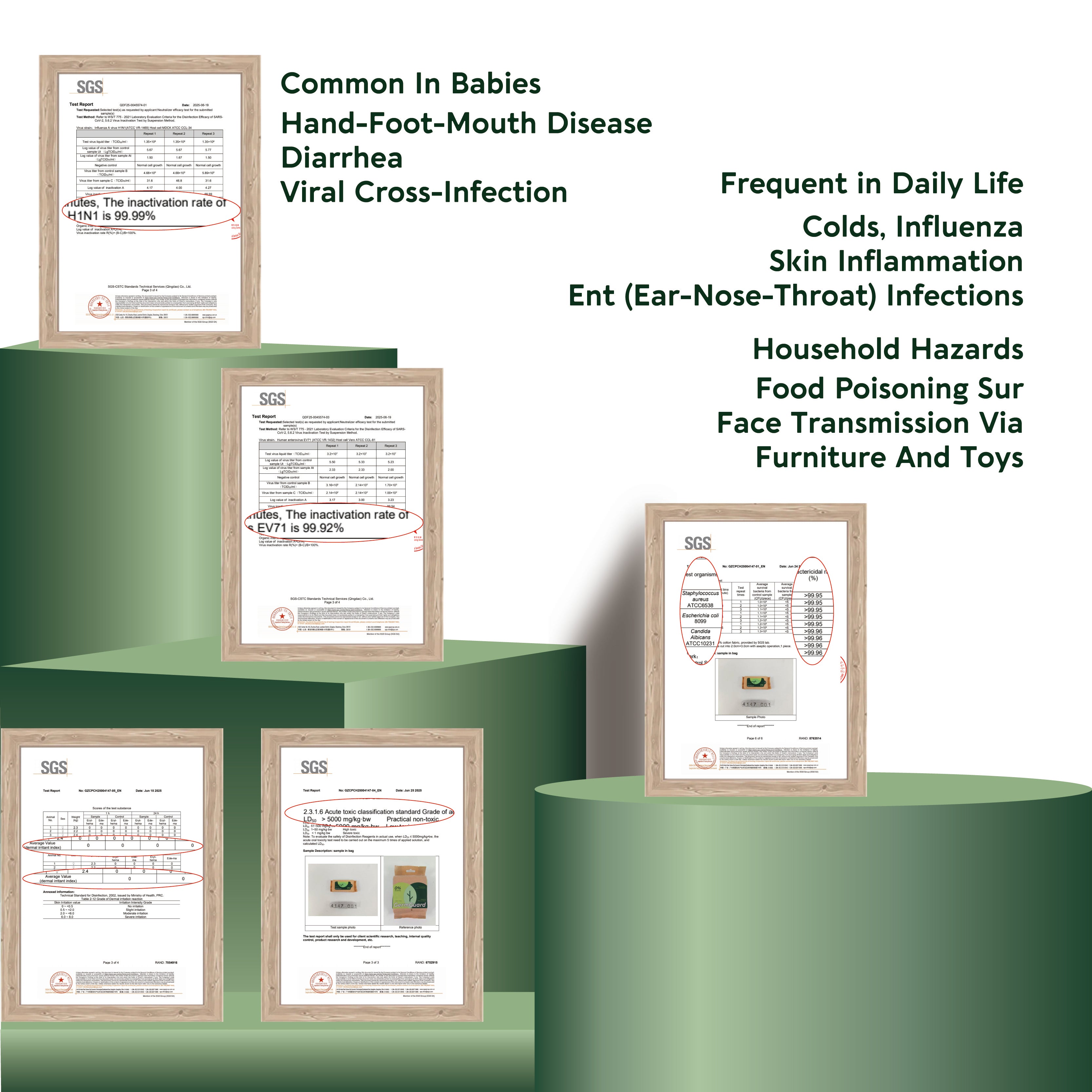 Cozy Bunny GermGuard (0% Alchohol) Botanical Defense Wipes 6pcs