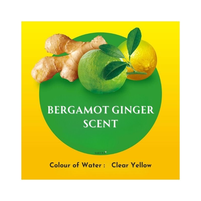 Kao BUB Sparkling Bath Tablets - Bergamot Ginger Scent