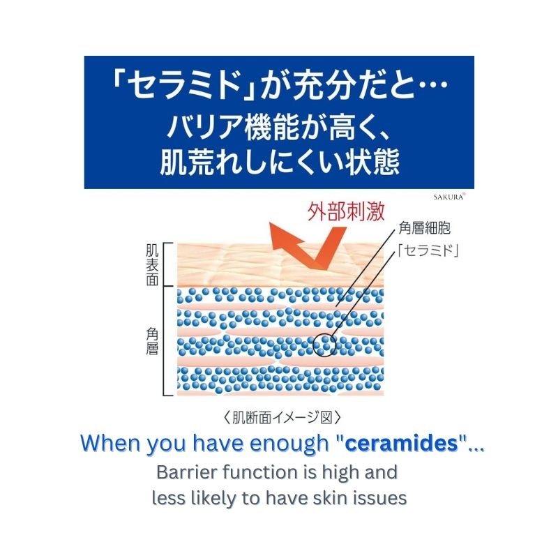 花王 キュレル 潤浸保湿 泡 洗顔料 150ml / 300ml