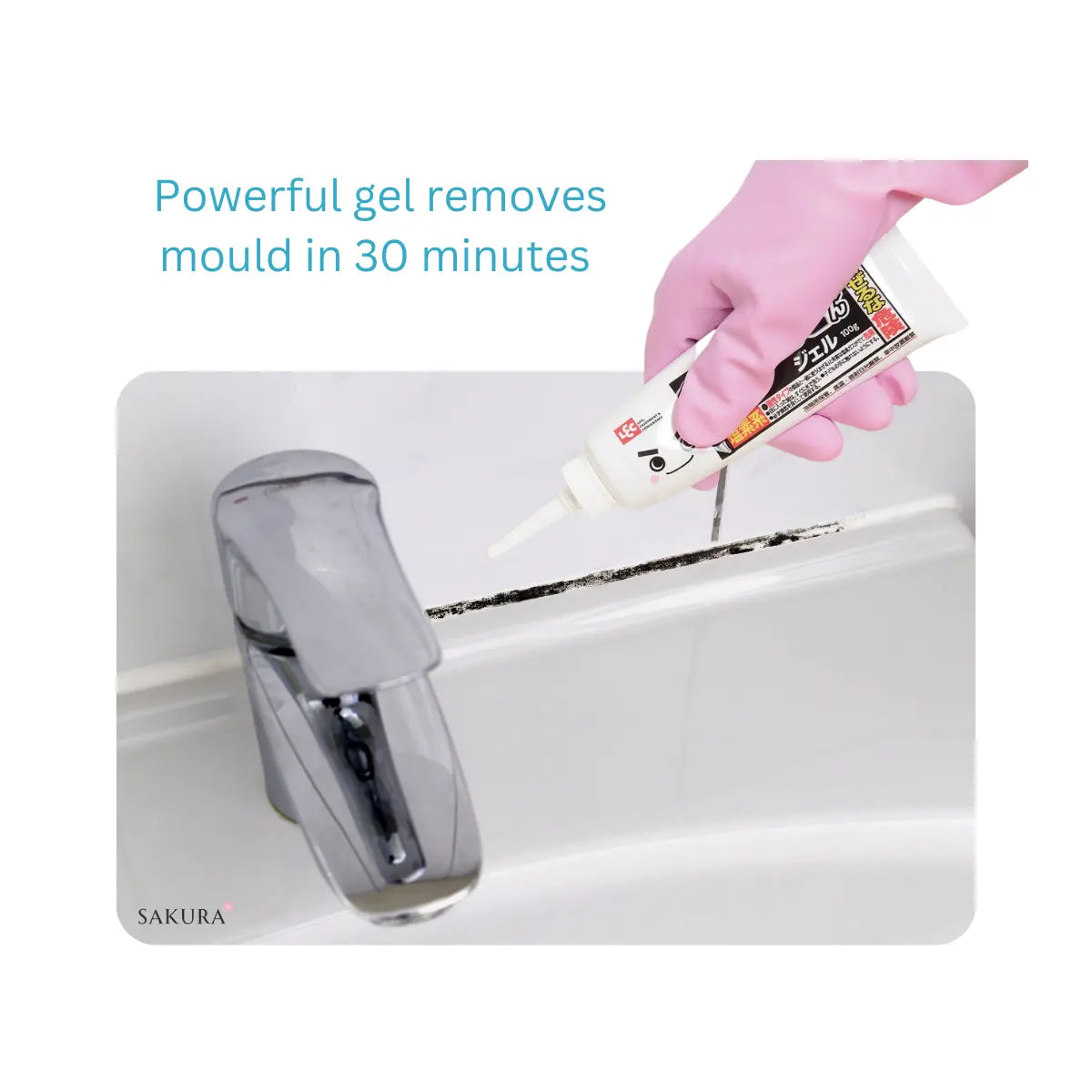 LEC Mould Remover Gel 100g