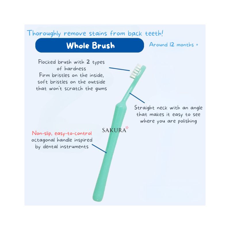 Pigeon Baby Finishing Toothbrush (12months+) 2pcs