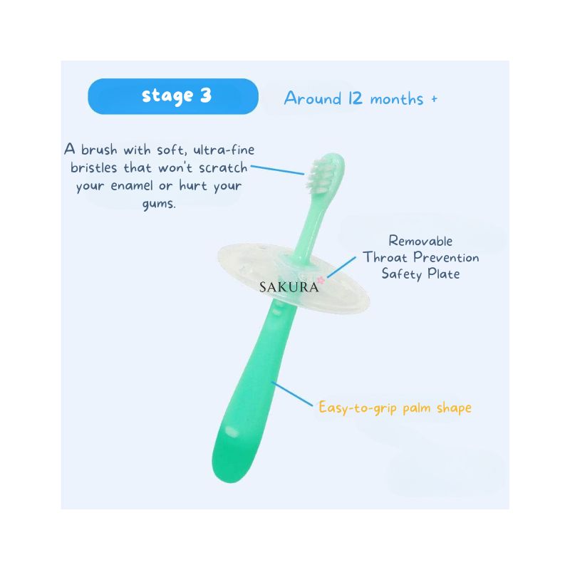 Pigeon Baby Training Toothbrush (Step 1, 2, 3) 3pcs
