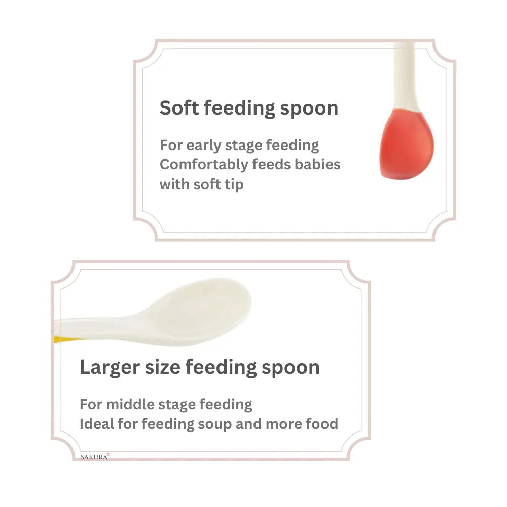 Richell Baby Feeding Spoon Set with Case