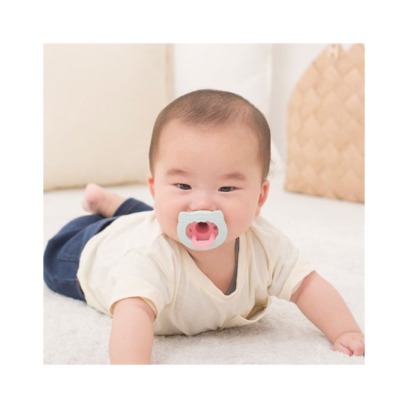 Richell Soother with Case (0-3months) Cat
