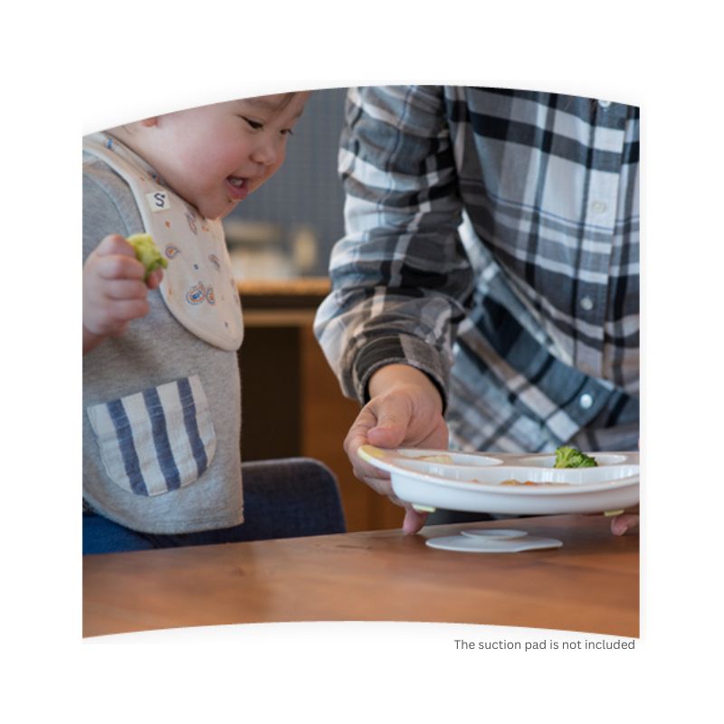 Richell TLI Baby Lunch Plate