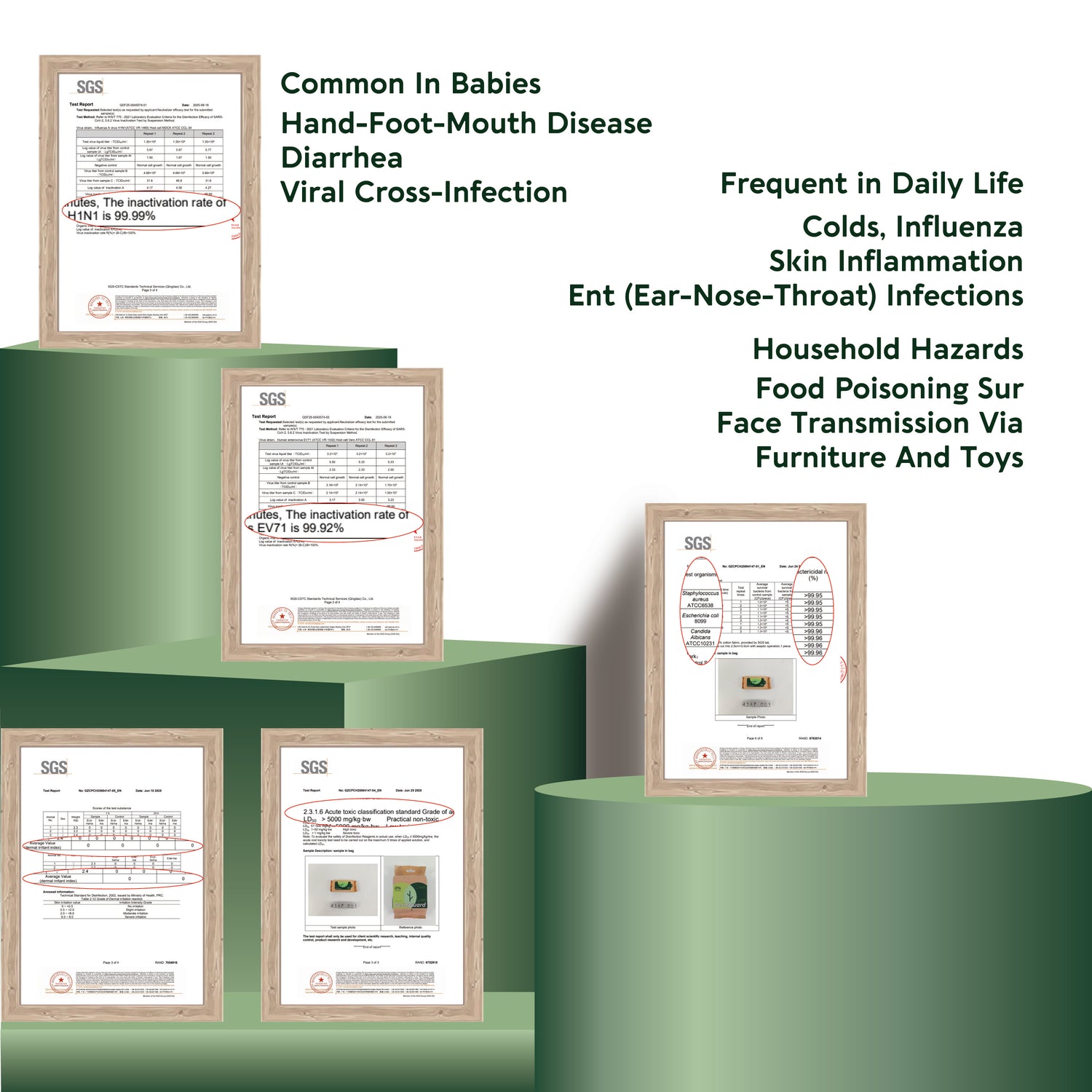 Cozy Bunny GermGuard (0% Alchohol) Botanical Defense Wipes 6pcs