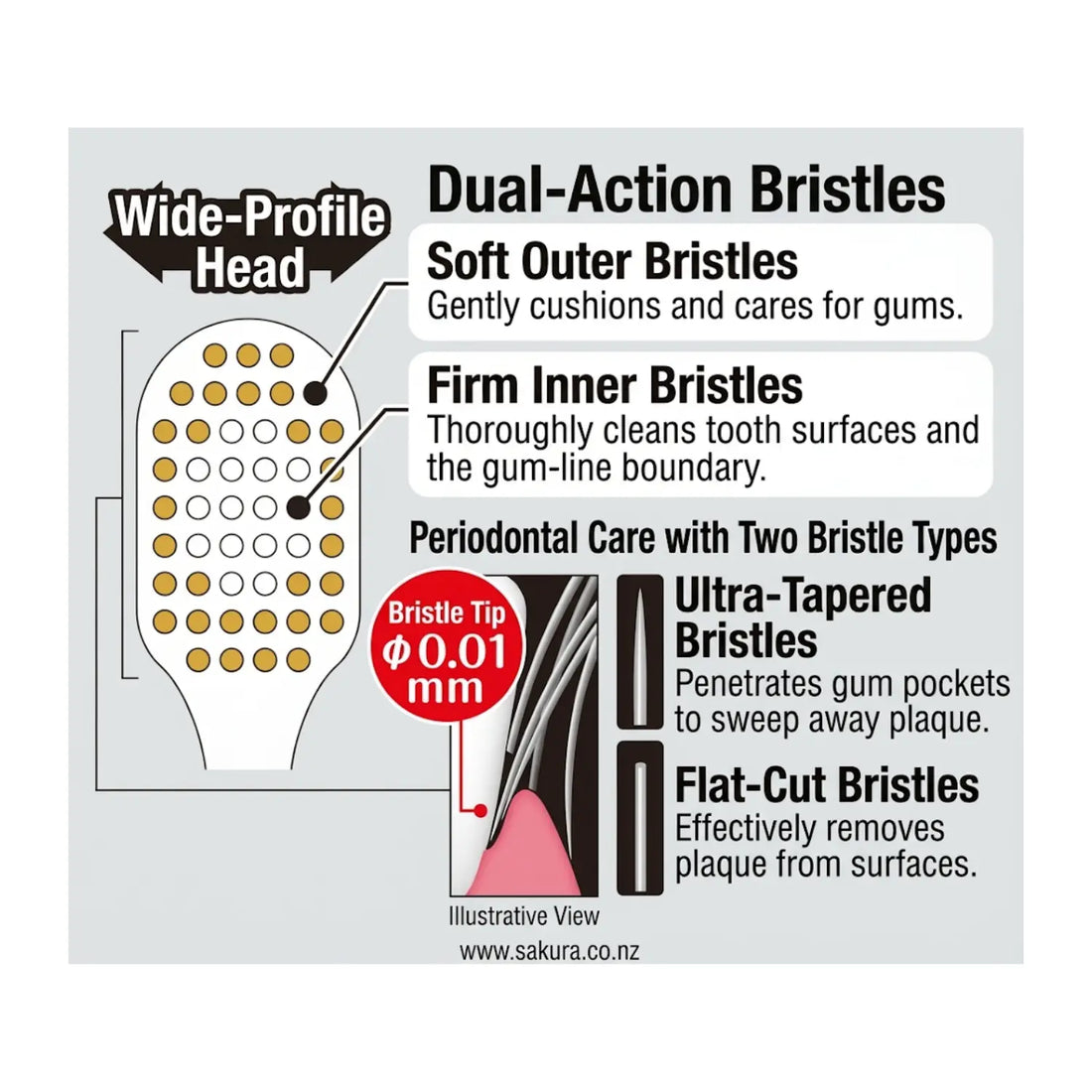 EBISU Premium Care Wide Head Toothbrush – Dense Bristles for Efficient Plaque Removal