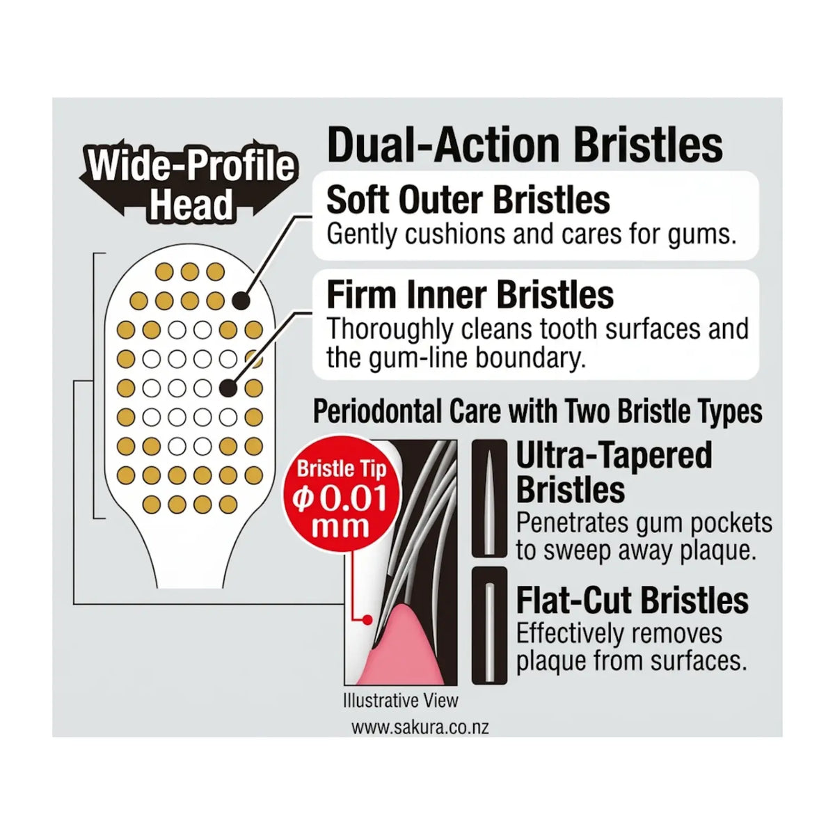 惠百施 (EBISU) 宽头护理牙刷 — 浓密刷毛，高效去除牙菌斑
