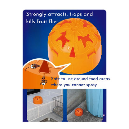 Kincho Fruit Fly Trap 2pcs