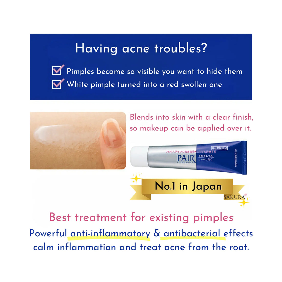 LION Pair Acne Cream W 24g