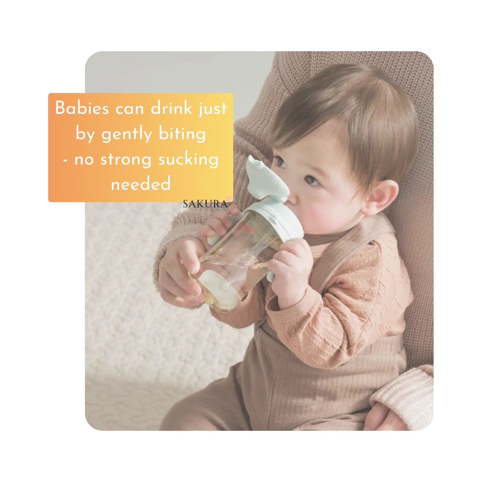 Pigeon Breastfed Experience Feeding Bottle Accessory - Spout Straw Top Set (6 months+)