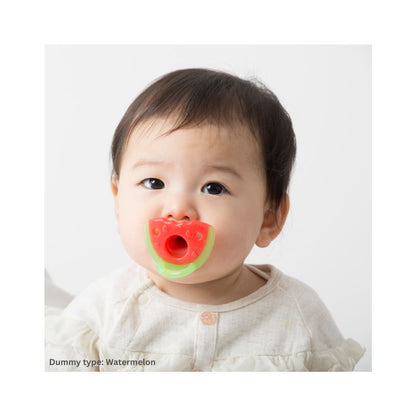 Richell All Silicone Soother with Case (3months+) Rabbit